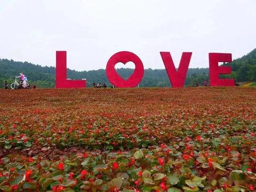 遂宁网红爆料最新消息,揭秘网红圈幕后真相!